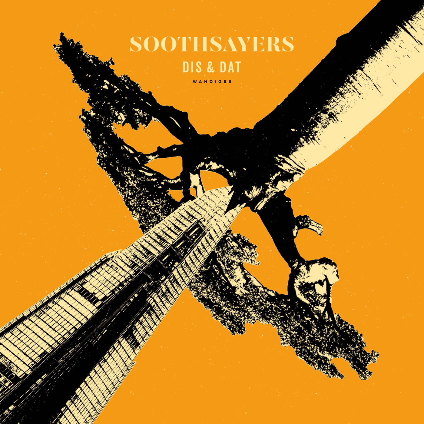 Image result for Soothsayers - 'Dis & Dat'
